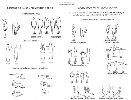 Ejercicios Yang